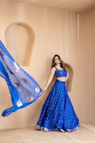 Blue Banarsi Lehenga