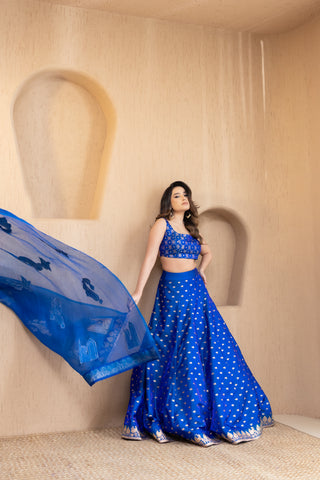 Blue Banarsi Lehenga