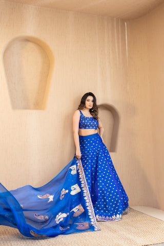 Blue Banarsi Lehenga